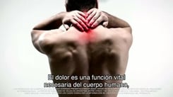 Alliviax_8020_1-thumb-1-2